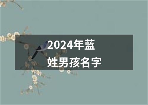 2024年蓝姓男孩名字