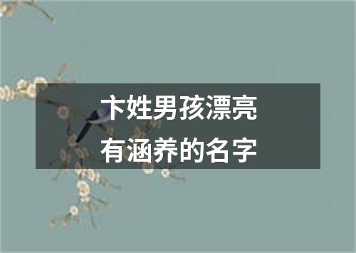 卞姓男孩漂亮有涵养的名字