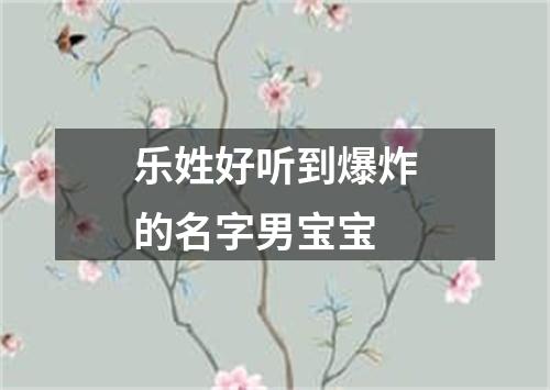 乐姓好听到爆炸的名字男宝宝