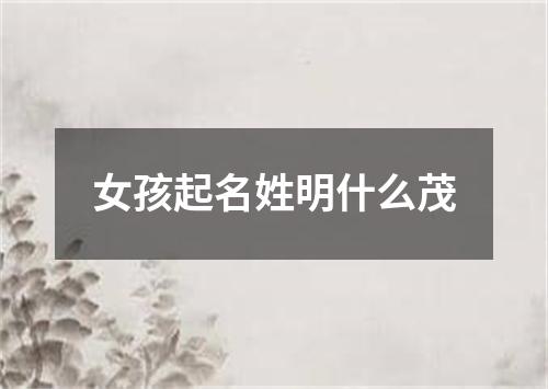 女孩起名姓明什么茂