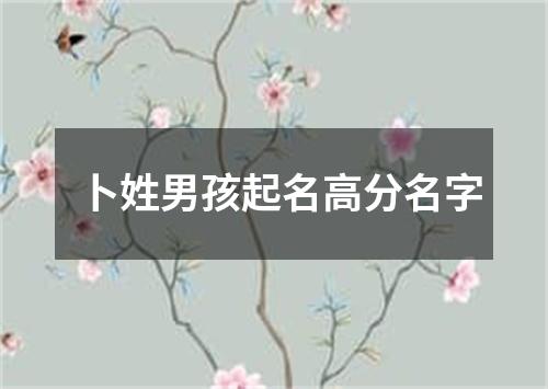 卜姓男孩起名高分名字