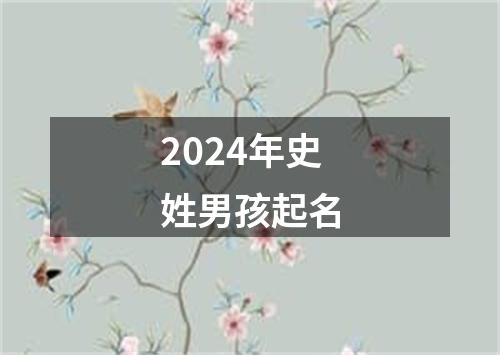 2024年史姓男孩起名