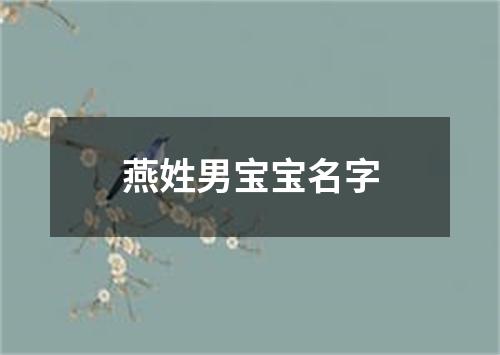 燕姓男宝宝名字