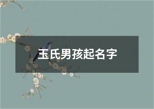 玉氏男孩起名字