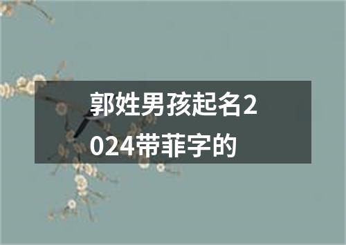 郭姓男孩起名2024带菲字的