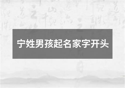 宁姓男孩起名家字开头