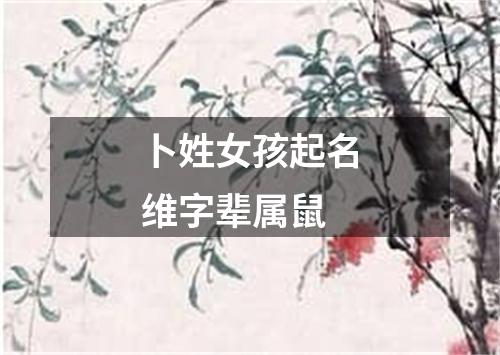 卜姓女孩起名维字辈属鼠