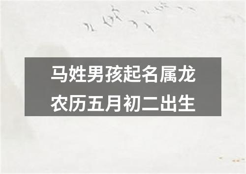 马姓男孩起名属龙农历五月初二出生