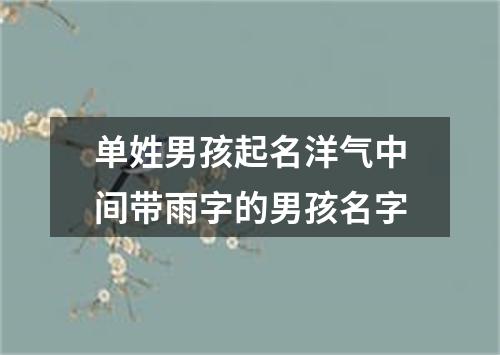 单姓男孩起名洋气中间带雨字的男孩名字