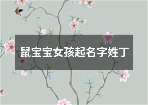 鼠宝宝女孩起名字姓丁