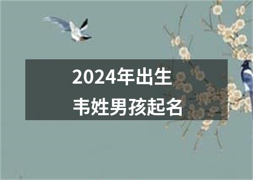 2024年出生韦姓男孩起名