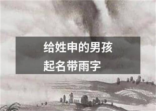 给姓申的男孩起名带雨字