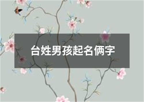 台姓男孩起名俩字