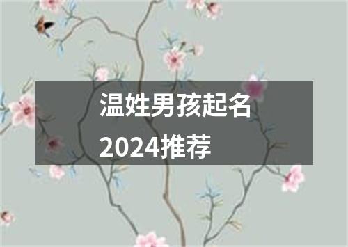 温姓男孩起名2024推荐