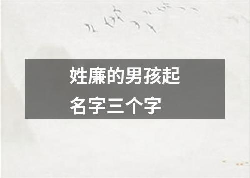 姓廉的男孩起名字三个字