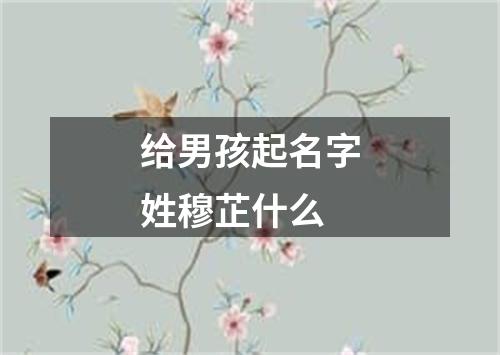 给男孩起名字姓穆芷什么