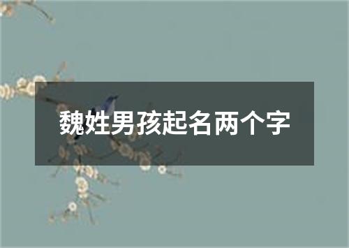 魏姓男孩起名两个字