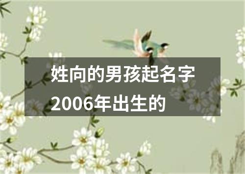 姓向的男孩起名字2006年出生的