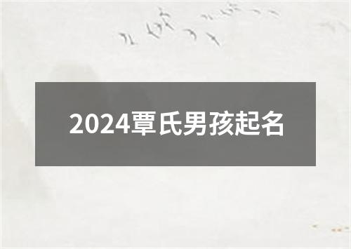 2024覃氏男孩起名