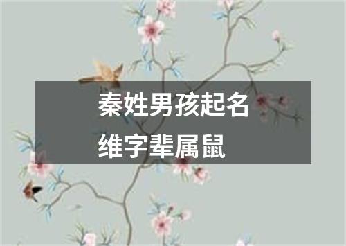 秦姓男孩起名维字辈属鼠