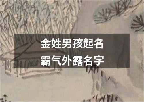 金姓男孩起名霸气外露名字