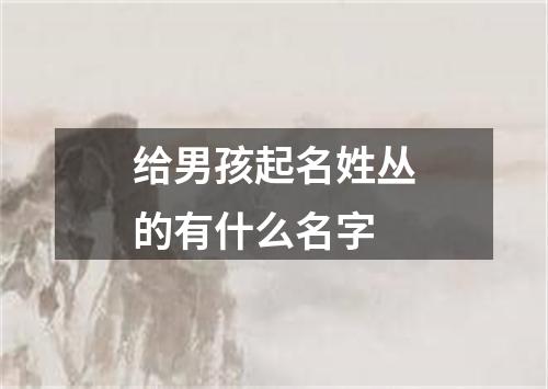 给男孩起名姓丛的有什么名字