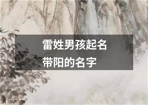 雷姓男孩起名带阳的名字