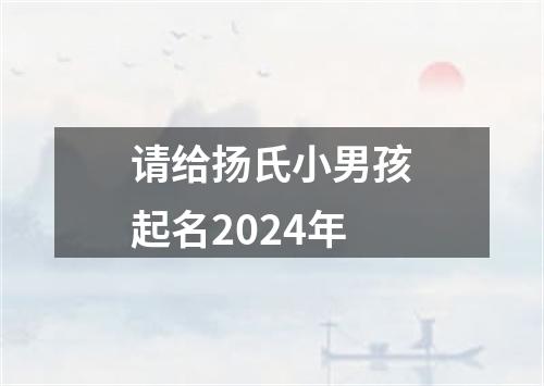 请给扬氏小男孩起名2024年