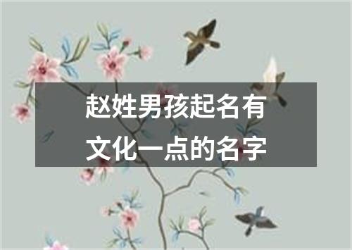 赵姓男孩起名有文化一点的名字