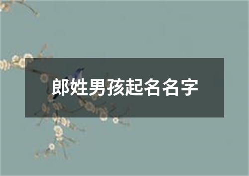 郎姓男孩起名名字