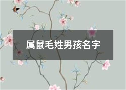 属鼠毛姓男孩名字