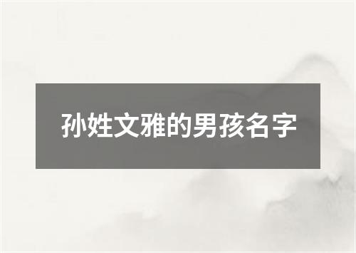 孙姓文雅的男孩名字