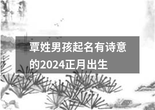 覃姓男孩起名有诗意的2024正月出生