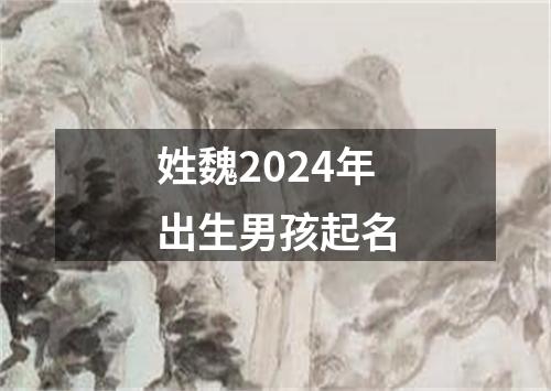 姓魏2024年出生男孩起名