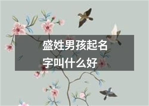 盛姓男孩起名字叫什么好