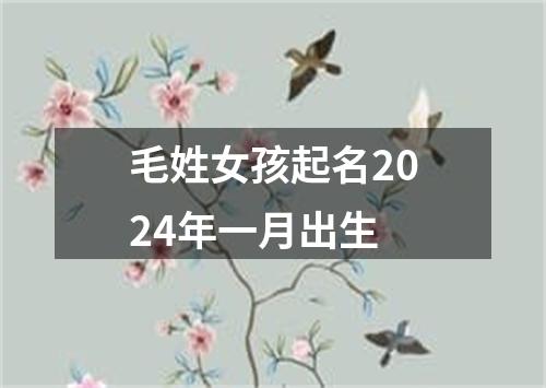 毛姓女孩起名2024年一月出生