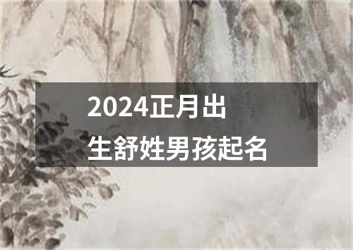 2024正月出生舒姓男孩起名