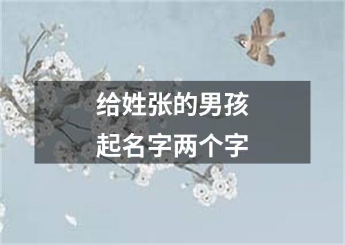 给姓张的男孩起名字两个字