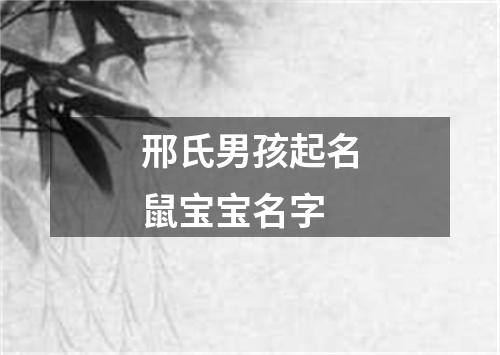 邢氏男孩起名鼠宝宝名字