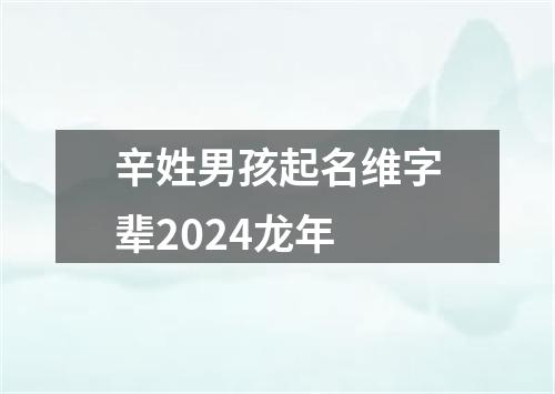 辛姓男孩起名维字辈2024龙年