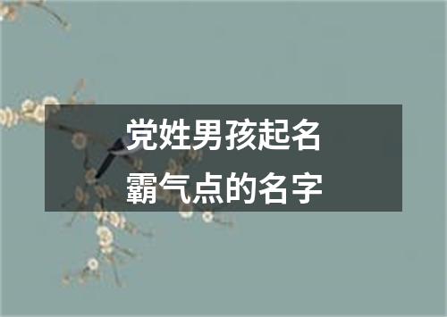 党姓男孩起名霸气点的名字