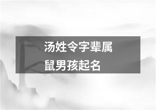 汤姓令字辈属鼠男孩起名