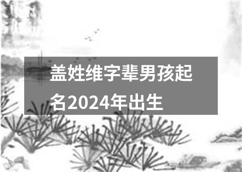 盖姓维字辈男孩起名2024年出生