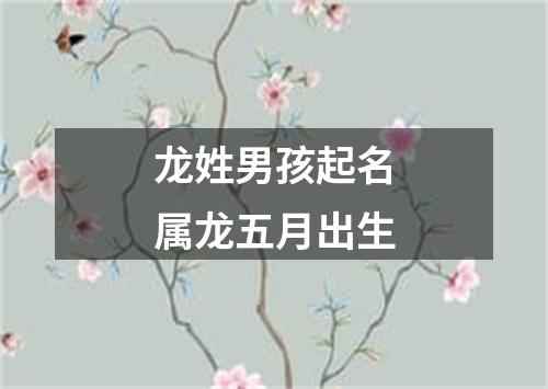 龙姓男孩起名属龙五月出生