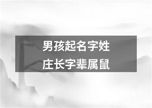 男孩起名字姓庄长字辈属鼠