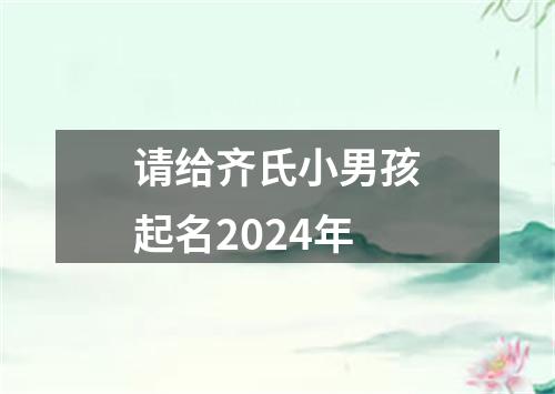 请给齐氏小男孩起名2024年