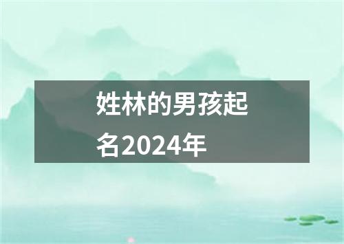 姓林的男孩起名2024年