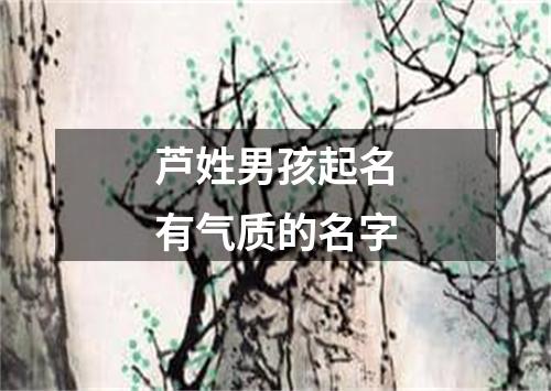 芦姓男孩起名有气质的名字