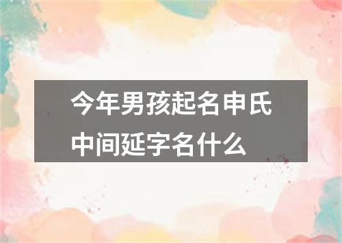 今年男孩起名申氏中间延字名什么