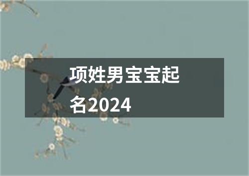 项姓男宝宝起名2024